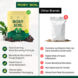 4qt Organic Aroid Mix for Indoor Plants