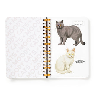 Moody Cats Sticker Book by Brass Monkey