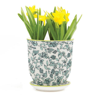 Liberte 3, 3.25" Indoor Plant Pots: Red Birds / 3.25"