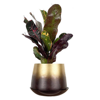 Joe Metal Flower Pots And Planters With Drainage Hole Saucer: White & Copper / 5"