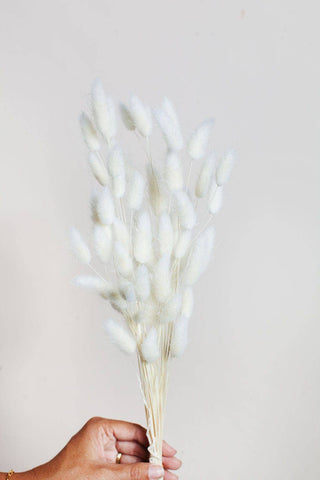 Preserved White Bunny Tail