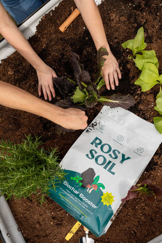 8qt Organic Biochar Booster