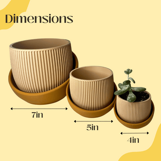 The Eero Planter | Stylish 2-Piece Drip Tray Planter Design for Indoor Potting | 3 Sizes Available | Made in USA: Large