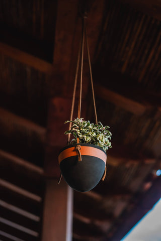 Small Hanging Planter with Leather Hanger: Black/Terracotta