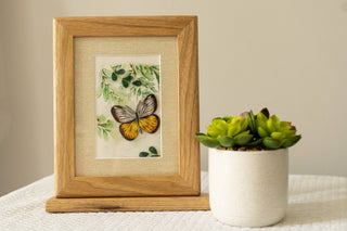 Butterfly Blessings
