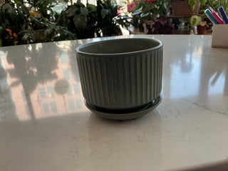 4” Olive Ceramic Pot