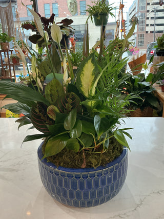 10" Ceramic Dish Garden