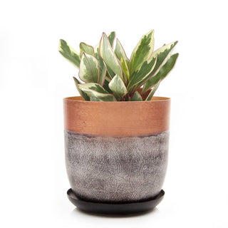 Joe Metal Flower Pots And Planters With Drainage Hole Saucer: White & Copper / 5"
