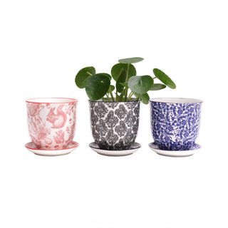 Liberte  Indoor plant pots with drainage 3 & 5 inch planter: Blue Leaves / 3.25"