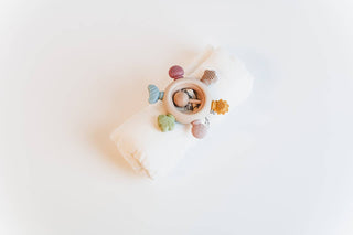 Rainbow Spokes Silicone Teether with Wooden Rattle Baby Gift
