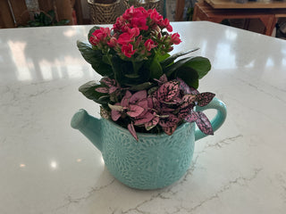 Blue Ceramic Tea Time Planter