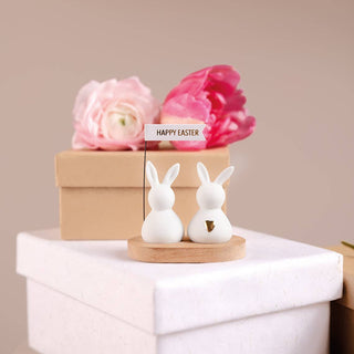 Easter Bunny Greetings Porcelain Figurines