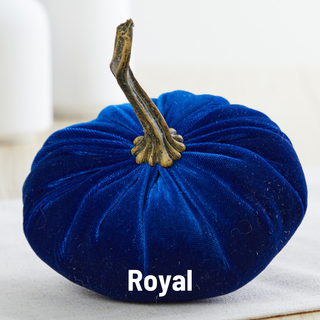 Pumpkin Small Velvet Fall Decor Gift for New Apartment Best: Fall Floral