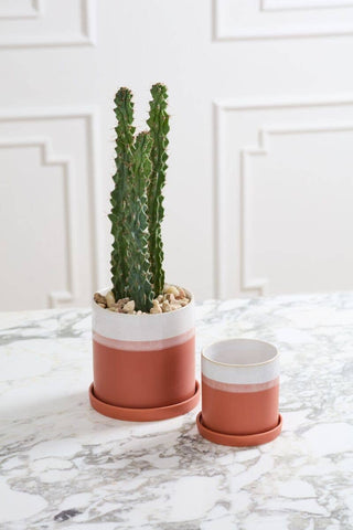 3" Dawn Pot - Succulent Planters With Saucer For Sale