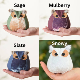 Whimsical velvet owls, charming owl enthusiastic, nature: Teal Owl