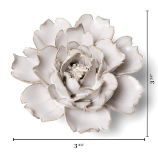 Drought-Tolerant Garden Flower Wall Installation Ivory Rose