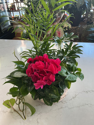 8” Blooming Basket Garden