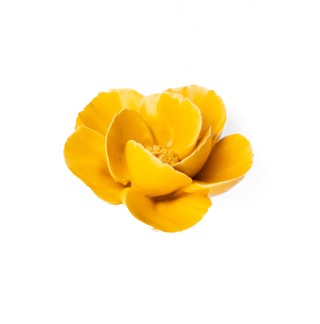 Yellow Poppy Ceramic Flower Wall Hangings - Handmade Boxed