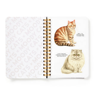 Moody Cats Sticker Book by Brass Monkey