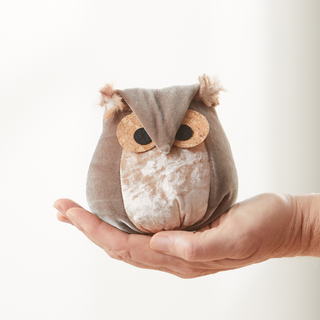 Whimsical velvet owls, charming owl enthusiastic, nature: Teal Owl