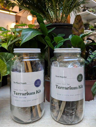 Halloween DIY Terrarium | Fall Plant Craft Kit   Note: plants sold separately.  Click on image to view more photos