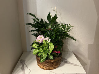 12" Wicker Basket European Blooming Dish Garden