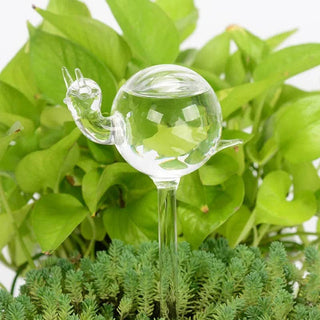 Self-Watering Plant Decor