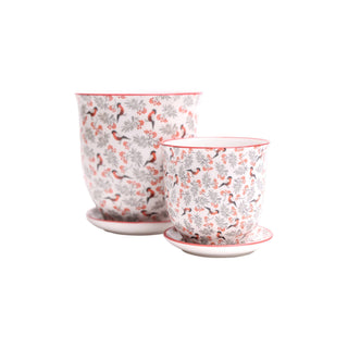 Liberte Indoor Porcelain Plant Pots