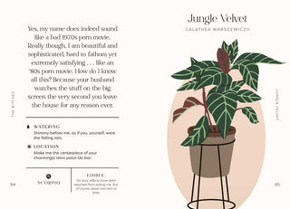Houseplants and Their Fucked-Up Thoughts by Carlyle Christoff: Hardcover; 96 pages / English