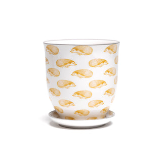 Liberte Indoor Porcelain Plant Pots