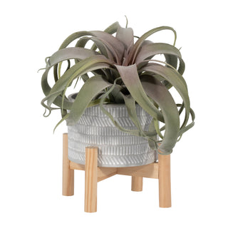 Planter & Wood Stand Ceramic Tribal Geometric - Ivory, 6 in.