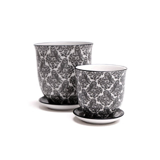 Liberte  Indoor plant pots with drainage 3 & 5 inch planter: Blue Leaves / 4.25"