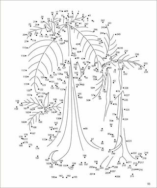 Large Print Wonderful Dot-to-Dot by Editors of Thunder Bay Press: Flexibound; 256 pages / English