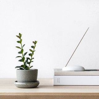 Kanso Wheat HuskMini Planter Pot