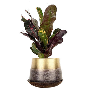 Joe Metal Flower Pots And Planters With Drainage Hole Saucer: White & Copper / 5"