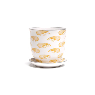 Liberte Indoor Porcelain Plant Pots