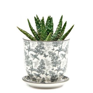 Liberte 3, 3.25" Indoor Plant Pots: Red Birds / 3.25"