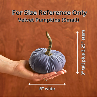 Pumpkin Small Velvet Fall Decor Gift for New Apartment Best: Ivory