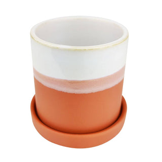 3" Dawn Pot - Succulent Planters With Saucer For Sale