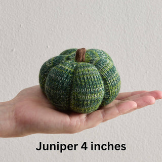 Cozy Knit Pumpkins, variegated yarns, unique autumn colors: 4 inch Sunset