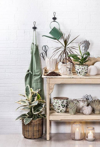 Small Bow Edged Planter-4.5"H