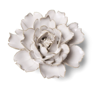 Drought-Tolerant Garden Flower Wall Installation Ivory Rose