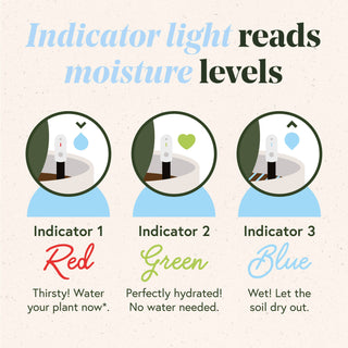 Soil Moisture Meter For Houseplants