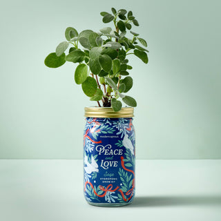 Holiday Herb Garden Jar: Comfort & Joy