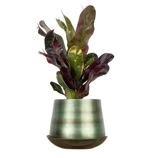 Joe Metal Flower Pots And Planters With Drainage Hole Saucer: White & Copper / 5"