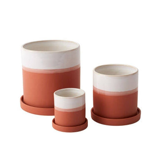 3" Dawn Pot - Succulent Planters With Saucer For Sale