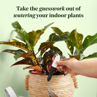 Soil Moisture Meter For Houseplants