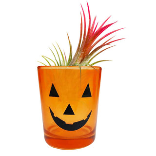 2.5" Jack-o'-lantern Halloween Pot - Halloween Decor Indoor