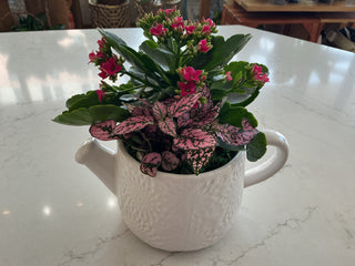 White Ceramic Tea Time Planter