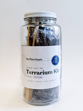 Halloween DIY Terrarium | Fall Plant Craft Kit   Note: plants sold separately.  Click on image to view more photos